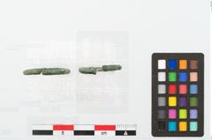 Foto von Bronzering (NHMW-PRAE-003485)
